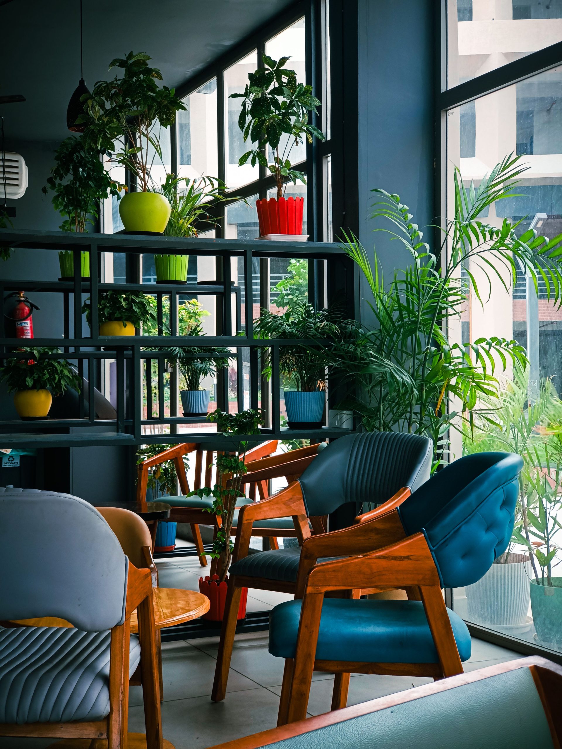 Sustainable Interiors: What’s Worth Paying For (and What’s Hype)